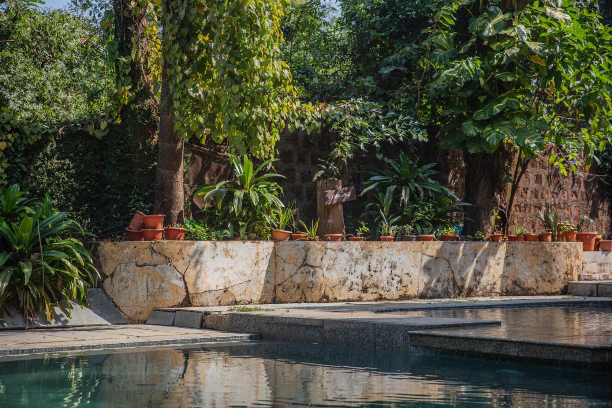 Satori Wellness Cottages I Yoga, Sauna, Ice Bath, Holistic Therapies & More Mandrem Exterior foto